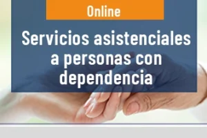 Servicios asistenciales a personas con Dependencia